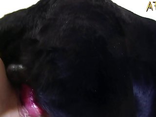 Big Dog Fuck Girl Porn