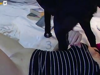 Small Woman Fuck Big Dog