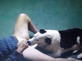 Young Girl Fuck By Dog