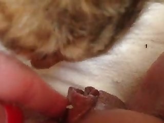 How To Fuck Your Girl Dog