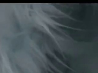 Fuck A Dog In The Ass Chords