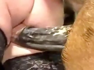 Dog Forces Woman Fuck