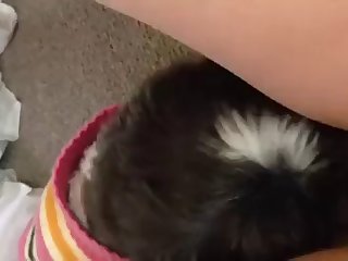 Latest Dog Fuck Videos