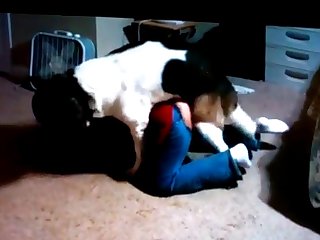 Dog Pussy In Heat Fuck