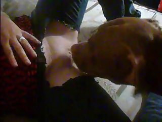 Woman Fuck Dog Videos