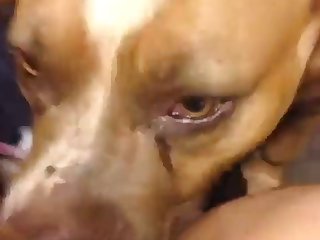 Fuck Dog Public