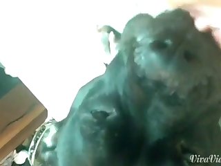Xxx Teen Dog Fuck