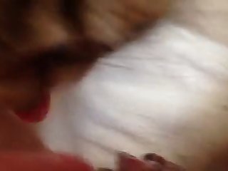 Dog Fuck Hot Chick