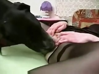 Let Her Dog Fuck Her