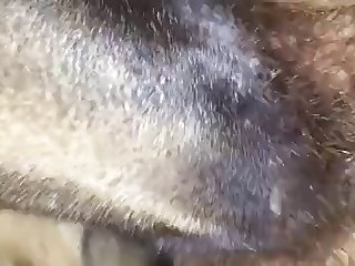 Woman Fuck Dog 2025