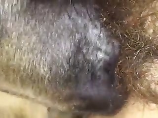 Woman Fuck Dog 2025