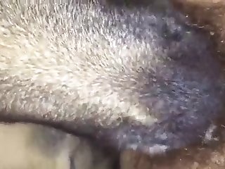 Woman Fuck Dog 2025