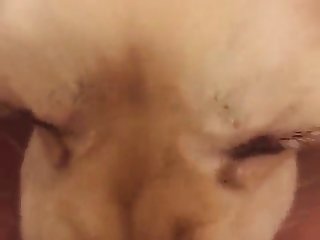 Dog Fuck Teen Alone