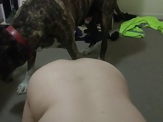 Be A Good Dog While I Fuck Your Wife Taylee Wood
