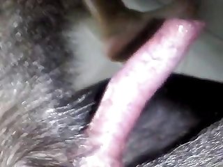 Two Lesbian Fuck Dog