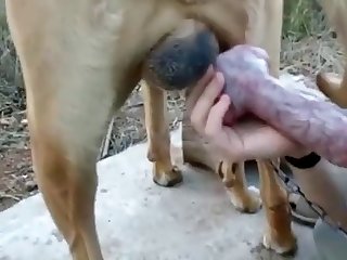 Dog Fuck Mom Pussy