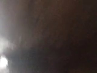 Stray Dog Fuck