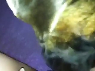 Tied Up Girl Dog Fuck