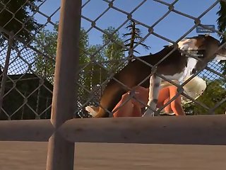 Porn Dog Fuck Mom