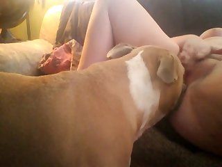 Dog Fuck Asian Girl Before Viewers