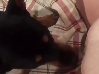Did Michael Jordan Fuck His Dog