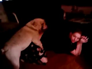 Boy Fuck Dog Gay