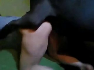 Man Fuck Pregnant Dog Porn