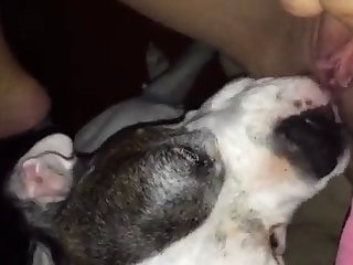 Kihm S First Fuck With Dog