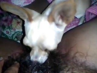 Tekla Dog Fuck