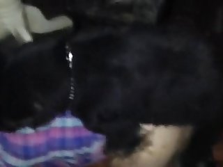 Men Fuck Dog Together