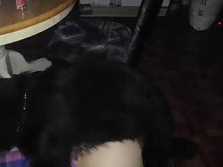 Men Fuck Dog Together