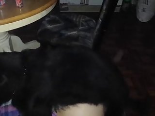 Men Fuck Dog Together