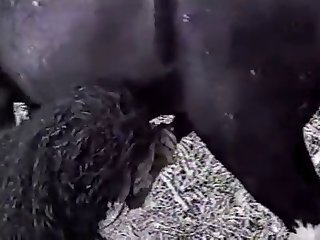 Dog Fuck Girl Image