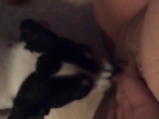Wife Husband And Dog Fuck