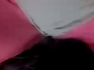 Can Man Fuck Dog