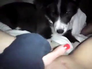 Two Sisters Fuck Dog