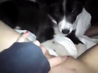 Two Sisters Fuck Dog