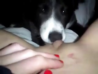 Two Sisters Fuck Dog