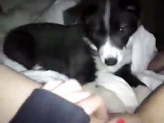 Two Sisters Fuck Dog