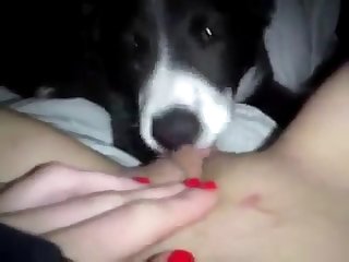 Two Sisters Fuck Dog