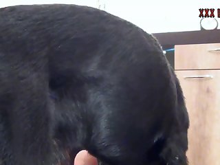 Silesto Dog Fuck