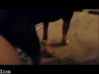 Man Fuck Dog Stories