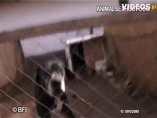 Dog Fuck Girl Ass