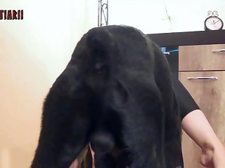 Women Dog Fuck