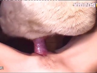 Asian Girl Fuck Dog