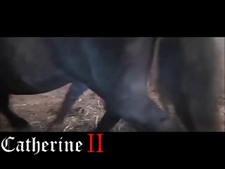 Video Zoo Porno