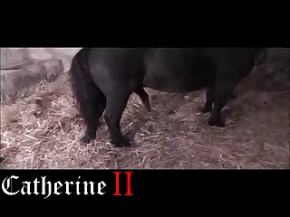 Simpsons Pregnant Porn