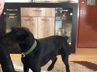 Zootube4