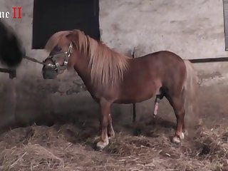 Enluxore