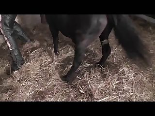 Men With Horse Dicks